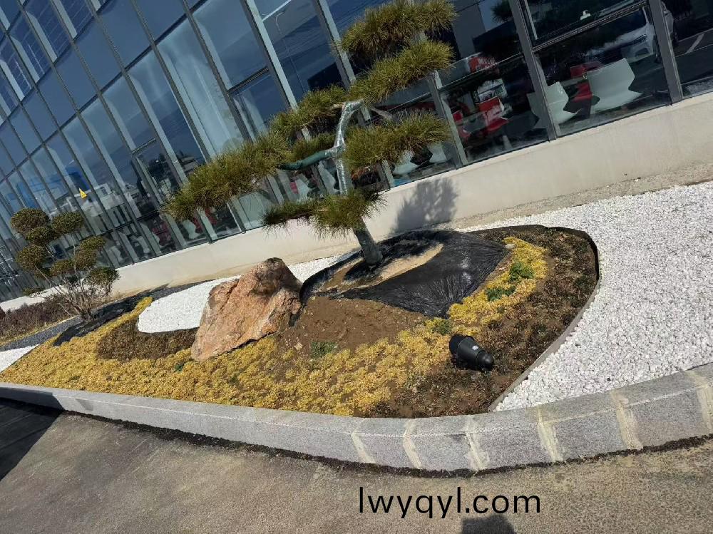 宿遷(qian)某瑞(rui)森企(qi)業(yè)廠房內(nei)部綠(lv)化